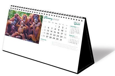 Kindred Spirits Premium Lined Easel Desk Calendar