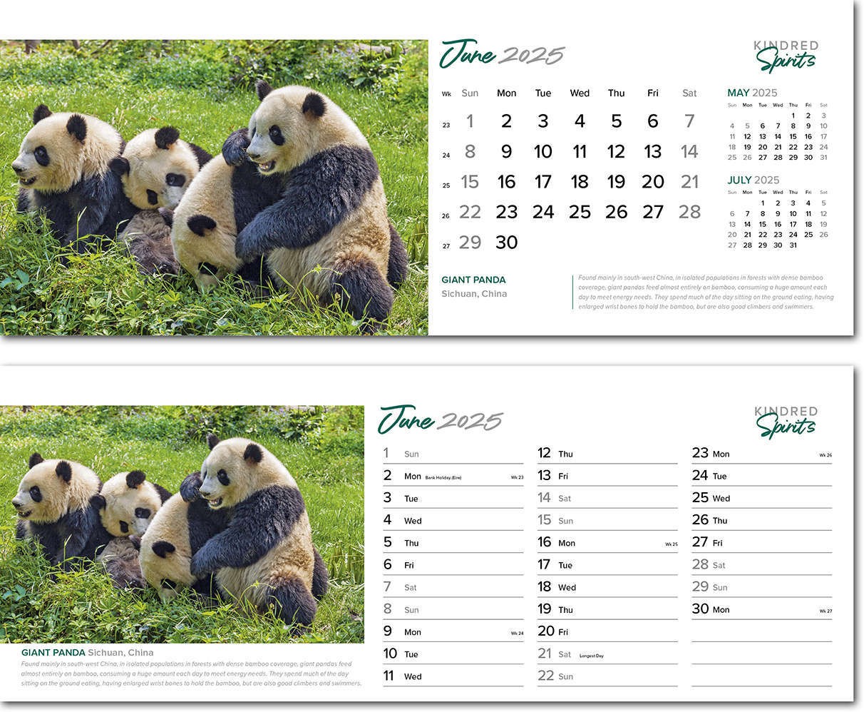 Kindred Spirits Premium Lined Easel Desk Calendar