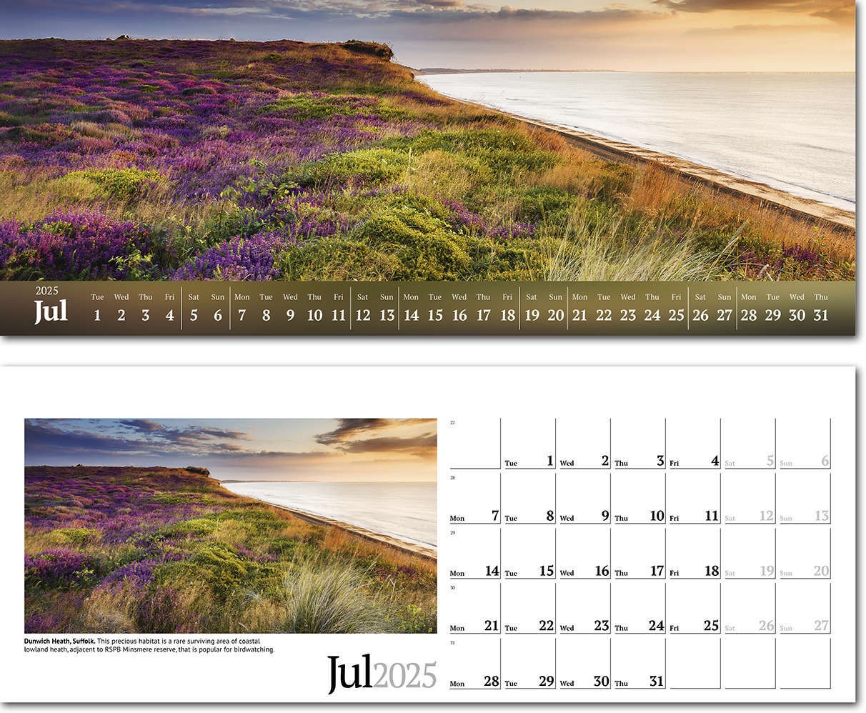 Wild Britain Note Station Desk Calendar 