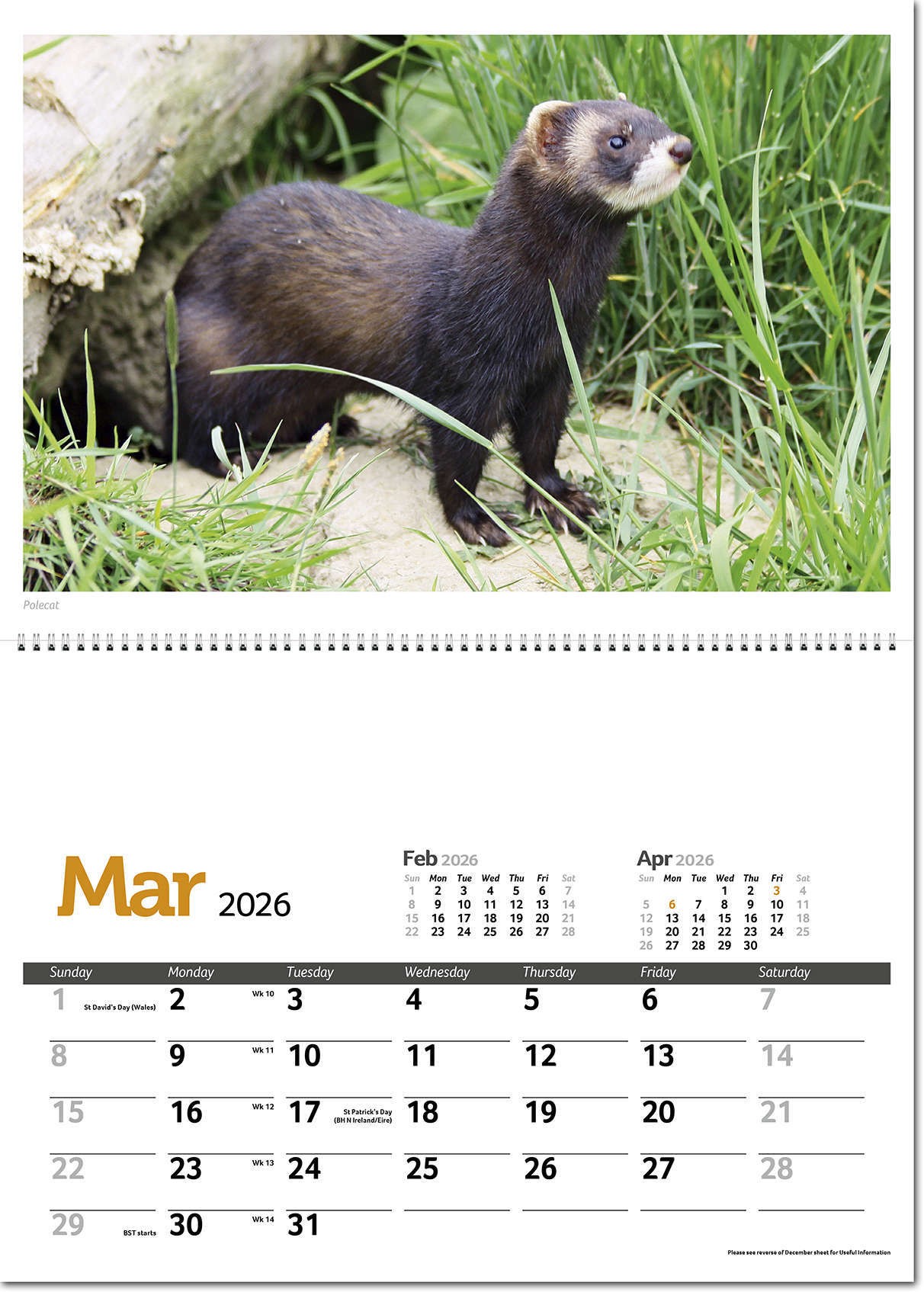 Wildlife in Britain Postage Saver Calendar