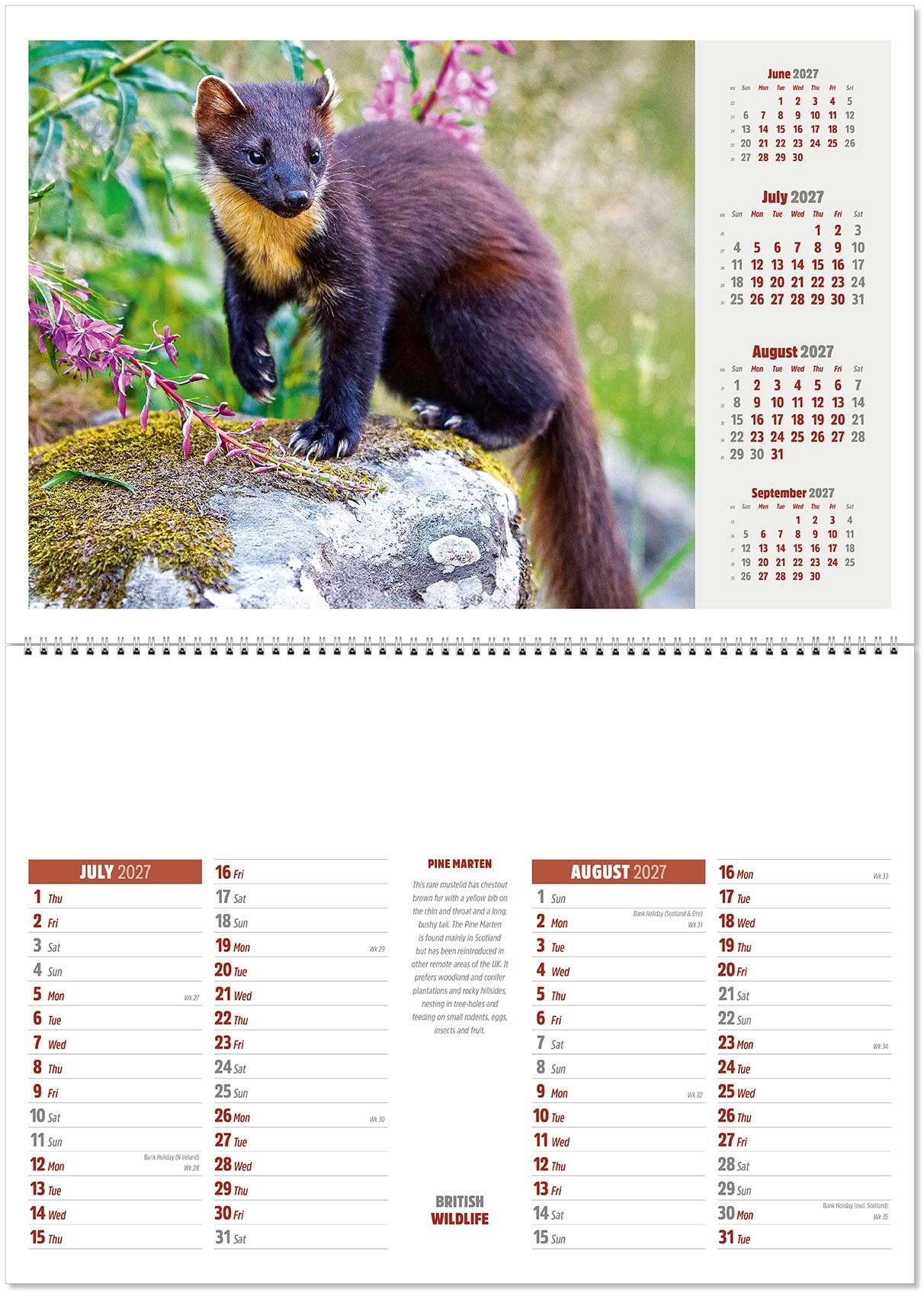 British Wildlife Postage Saver Calendar