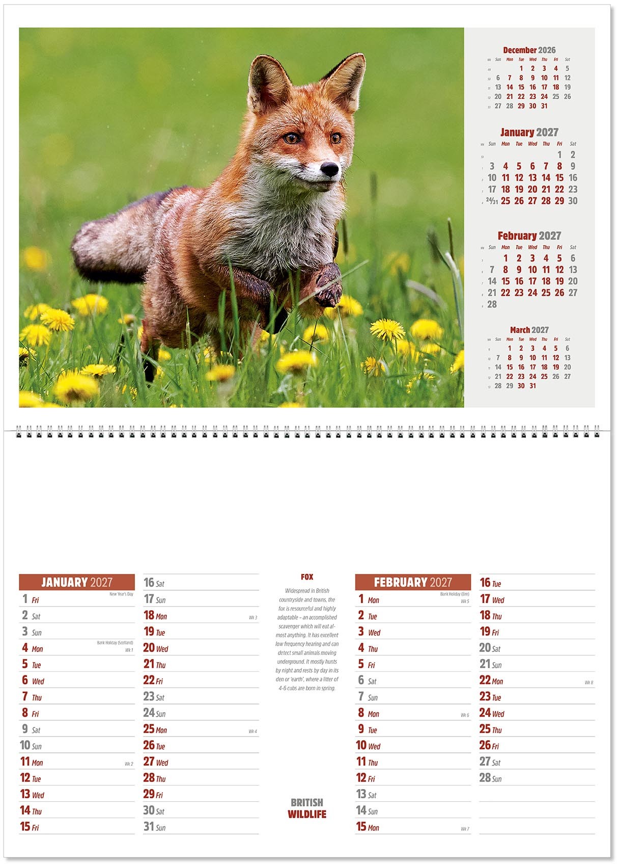 British Wildlife Postage Saver Calendar