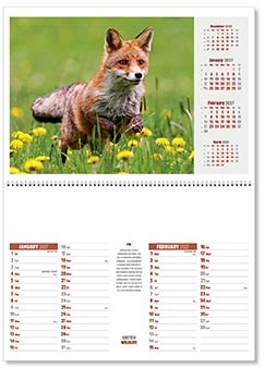 British Wildlife Postage Saver Calendar