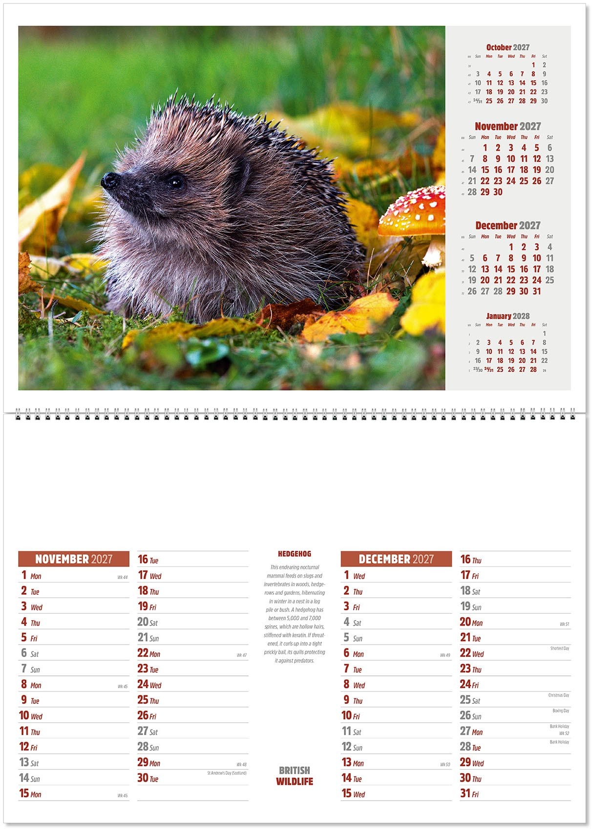 British Wildlife Postage Saver Calendar