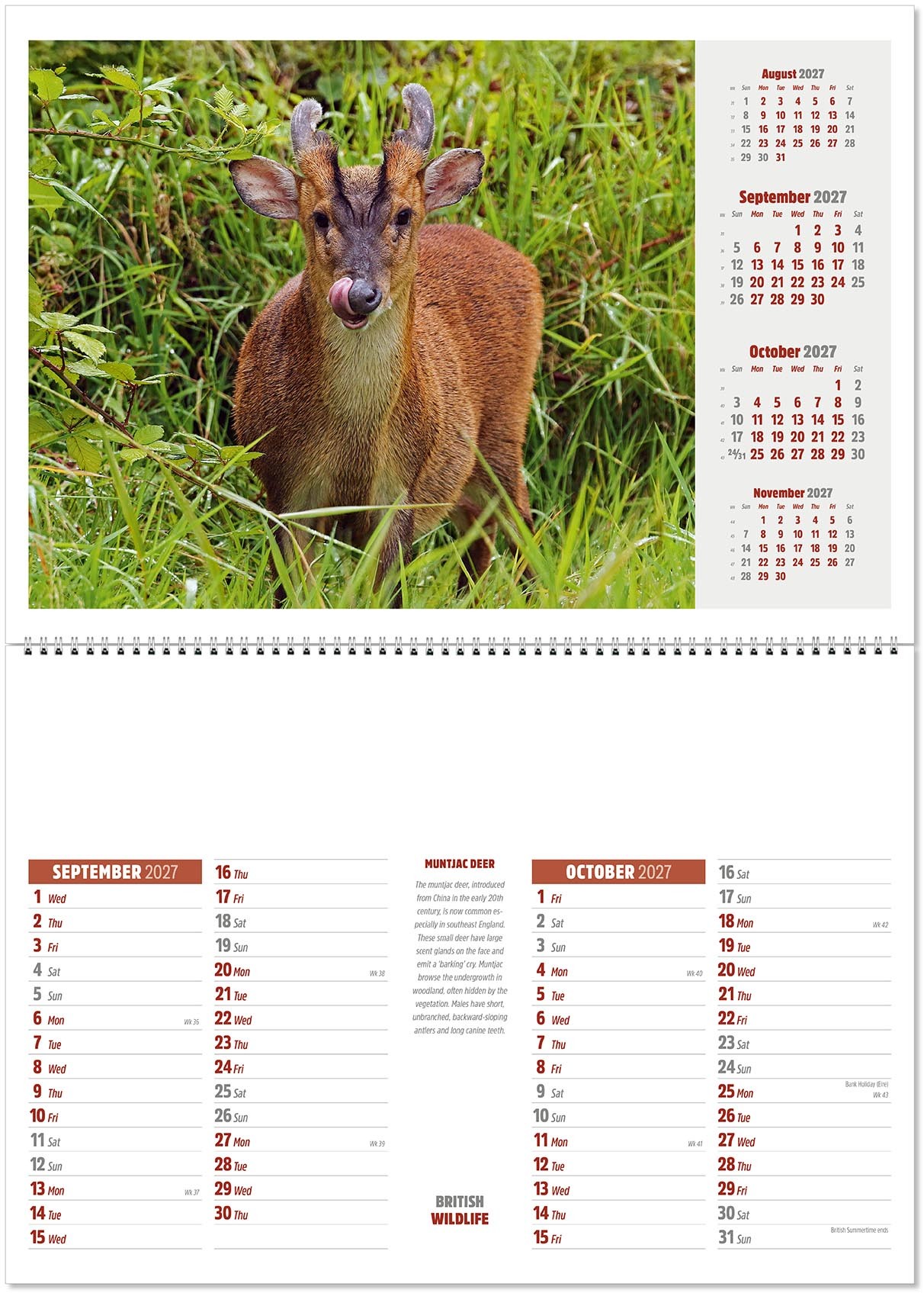 British Wildlife Postage Saver Calendar