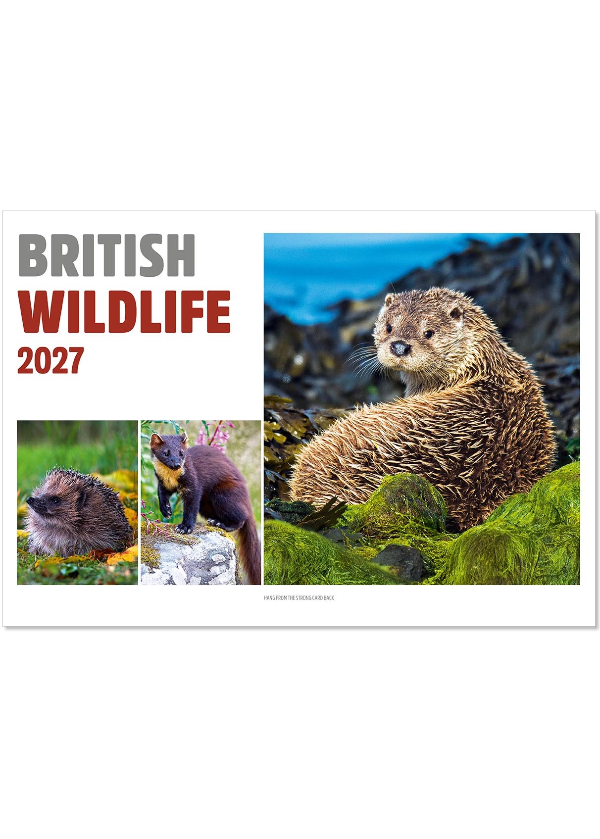 British Wildlife Postage Saver Calendar