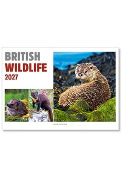 British Wildlife Postage Saver Calendar
