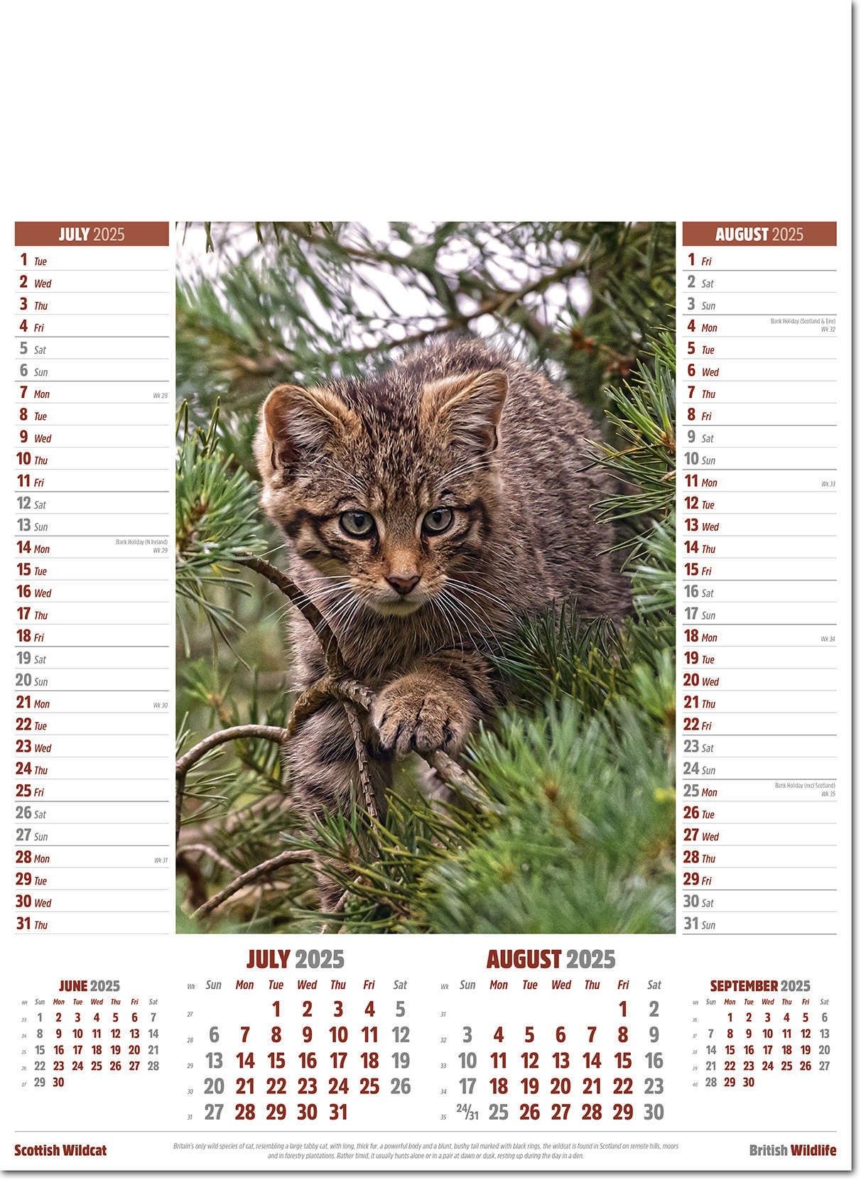 British Wildlife Calendar