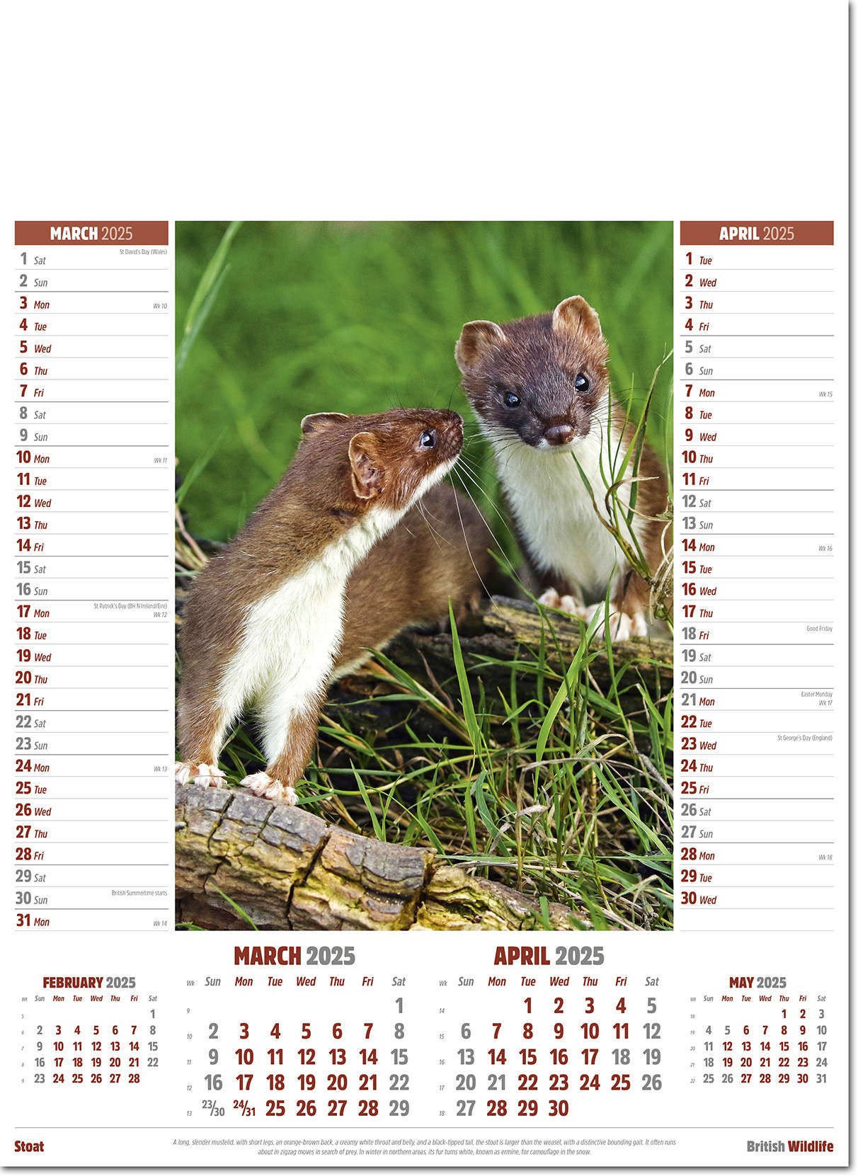 British Wildlife Calendar