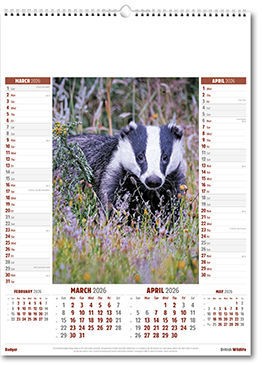 British Wildlife Calendar