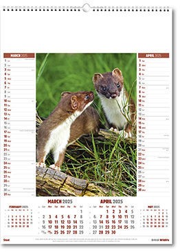 British Wildlife Calendar