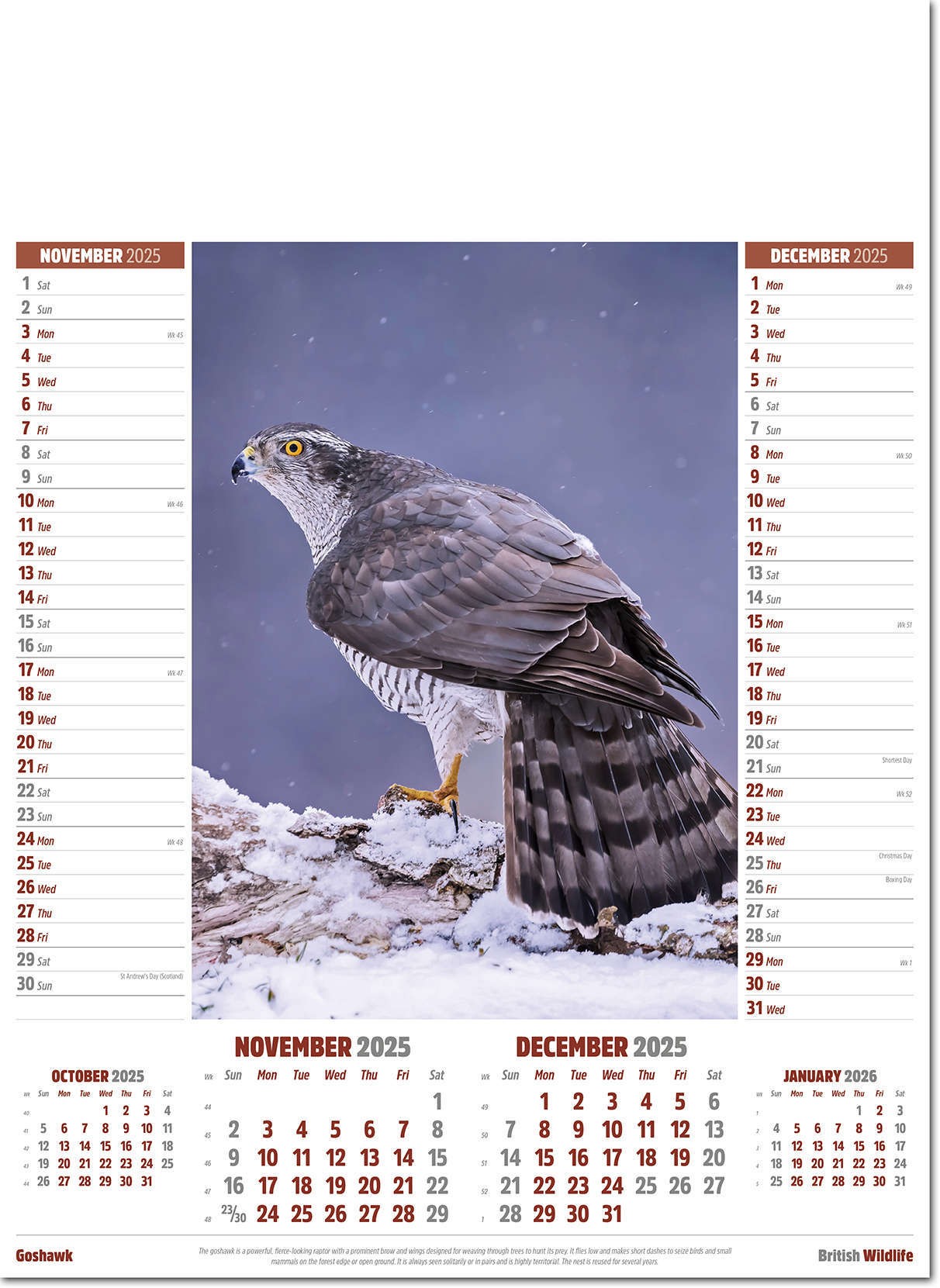 British Wildlife Calendar