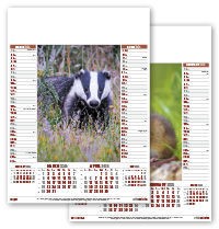 British Wildlife Calendar