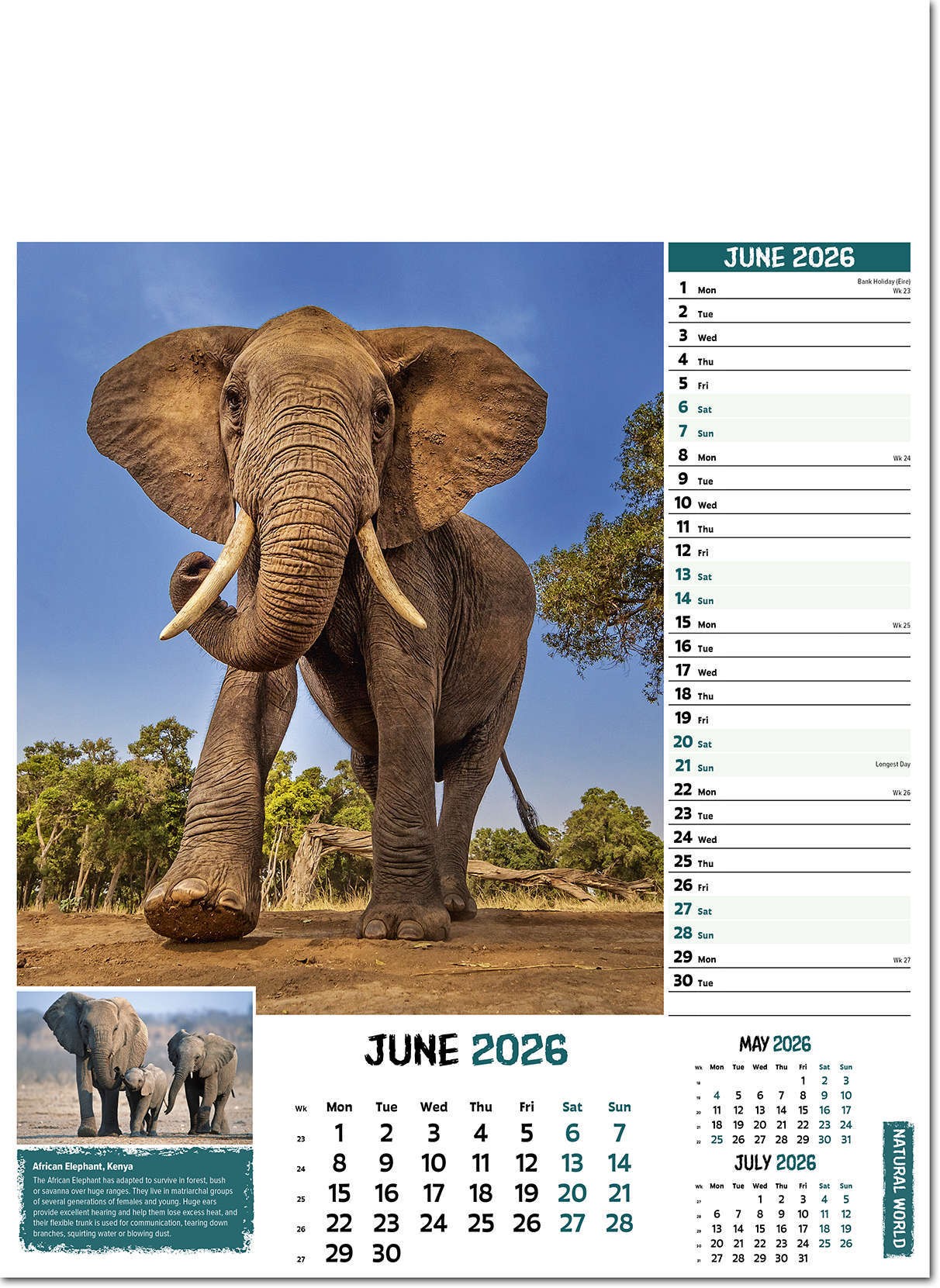 Natural World Wall Calendar