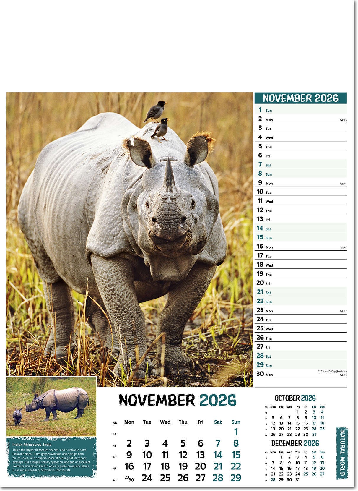 Natural World Wall Calendar