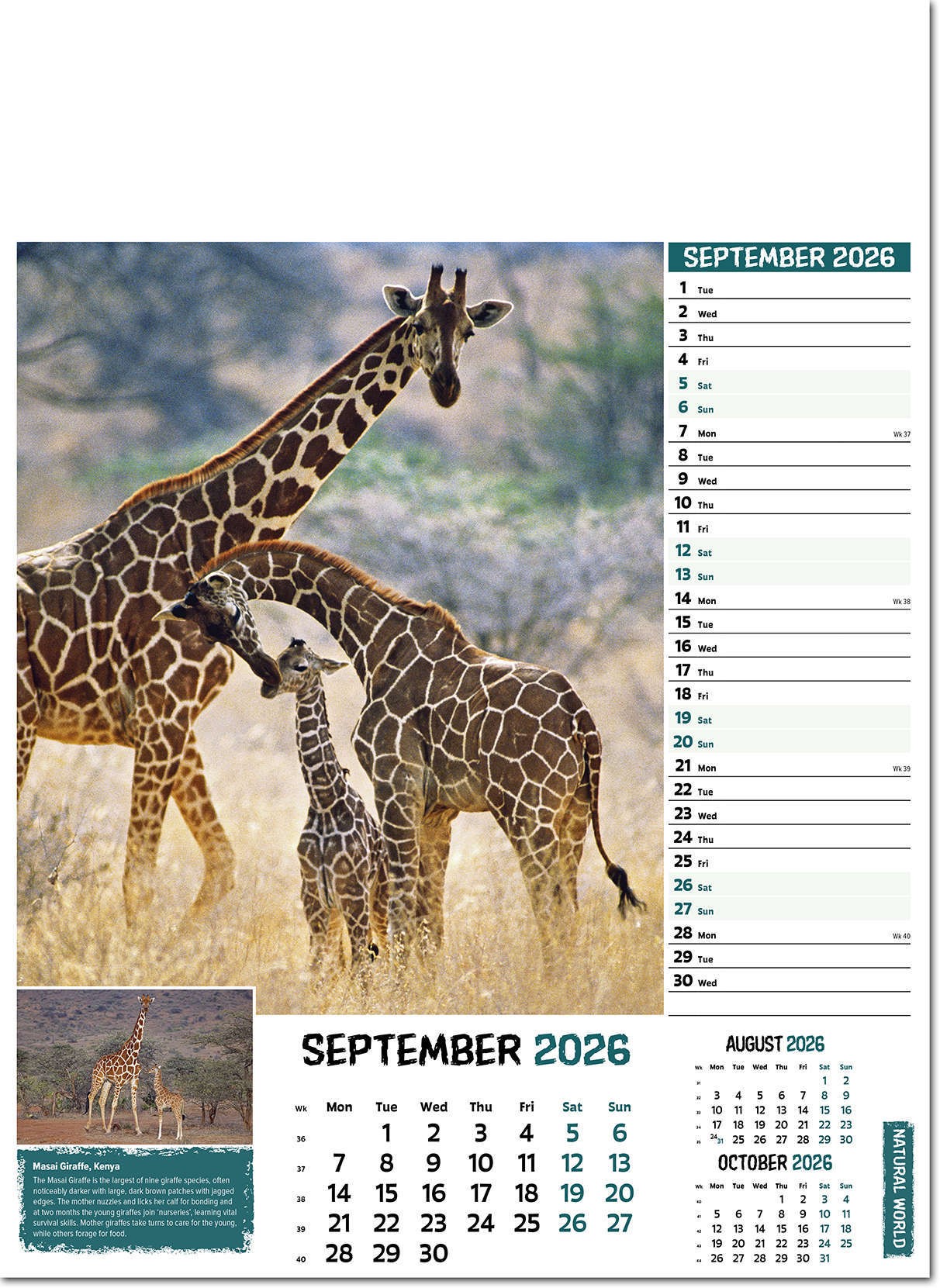 Natural World Wall Calendar