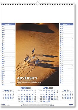 Insight Calendar