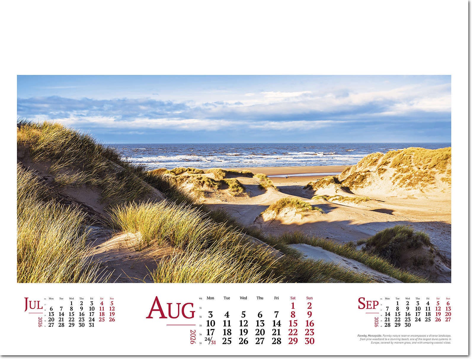 Wild Britain Wall Calendar