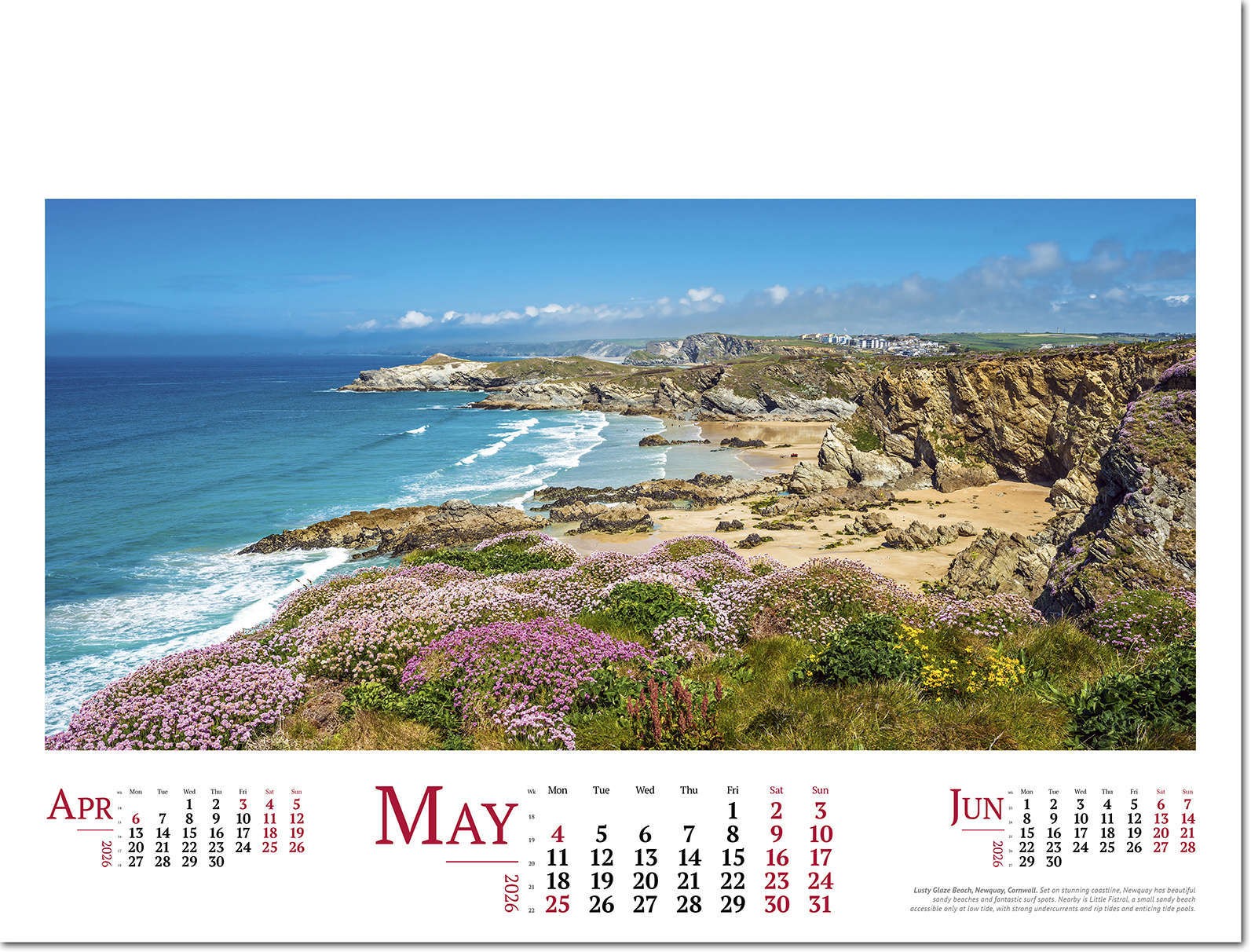 Wild Britain Wall Calendar