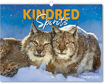 Kindred Spirits Calendar