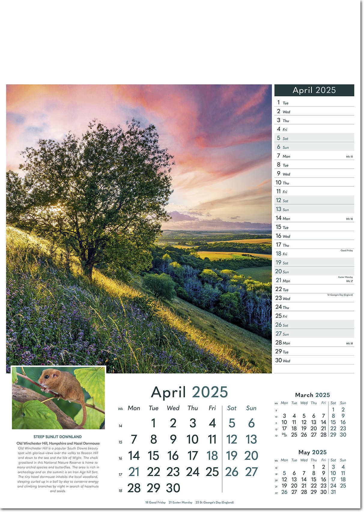 Rural Britain Wall Calendar